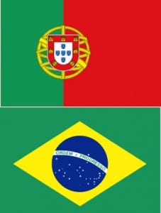 traducción de portugués profesional