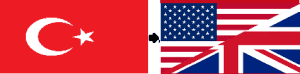 Traductor de turco a inglés profesional